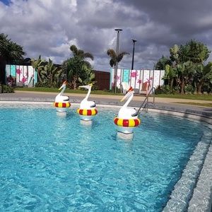 Meet your Posher, Judy